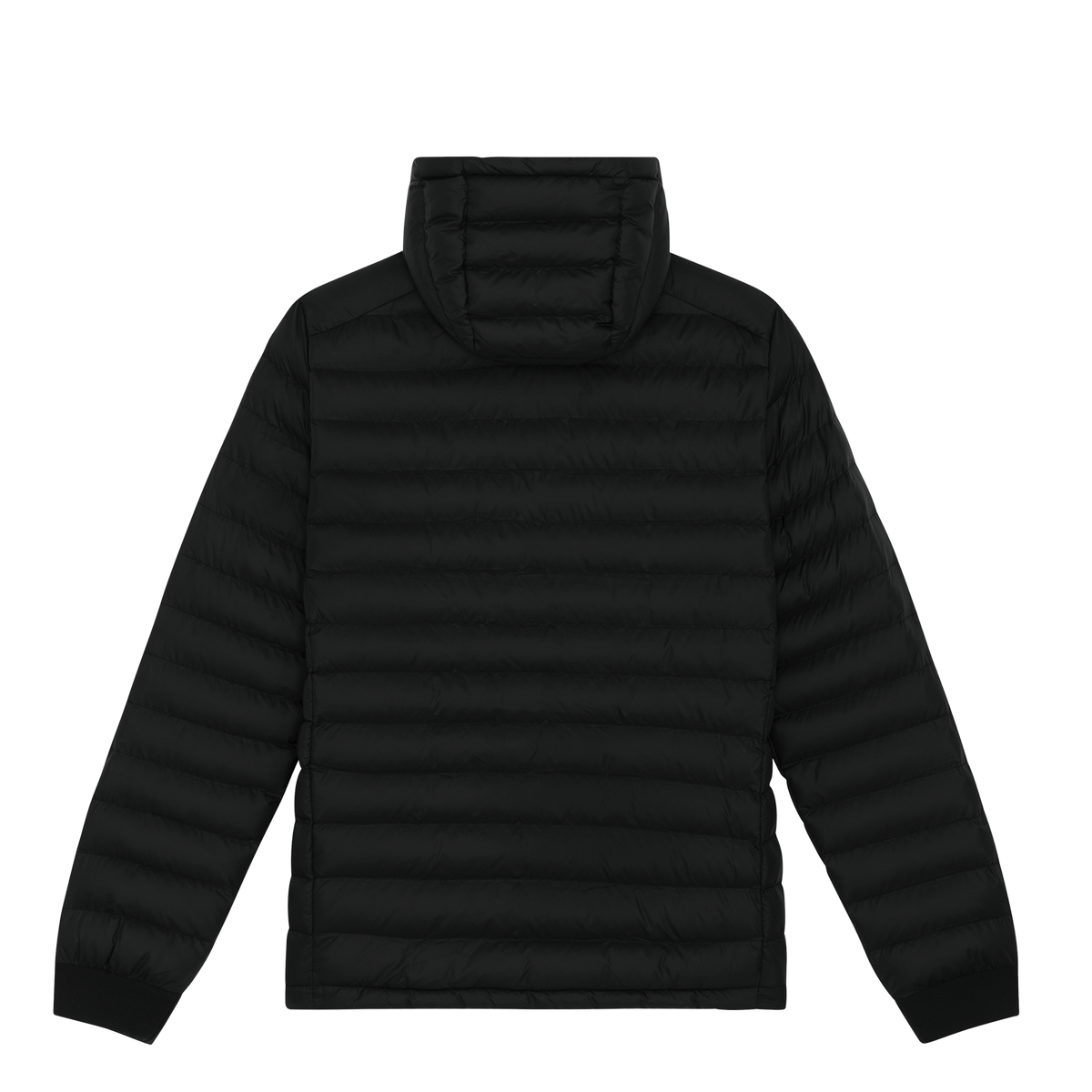 Doudoune - Uniforme homme - 2